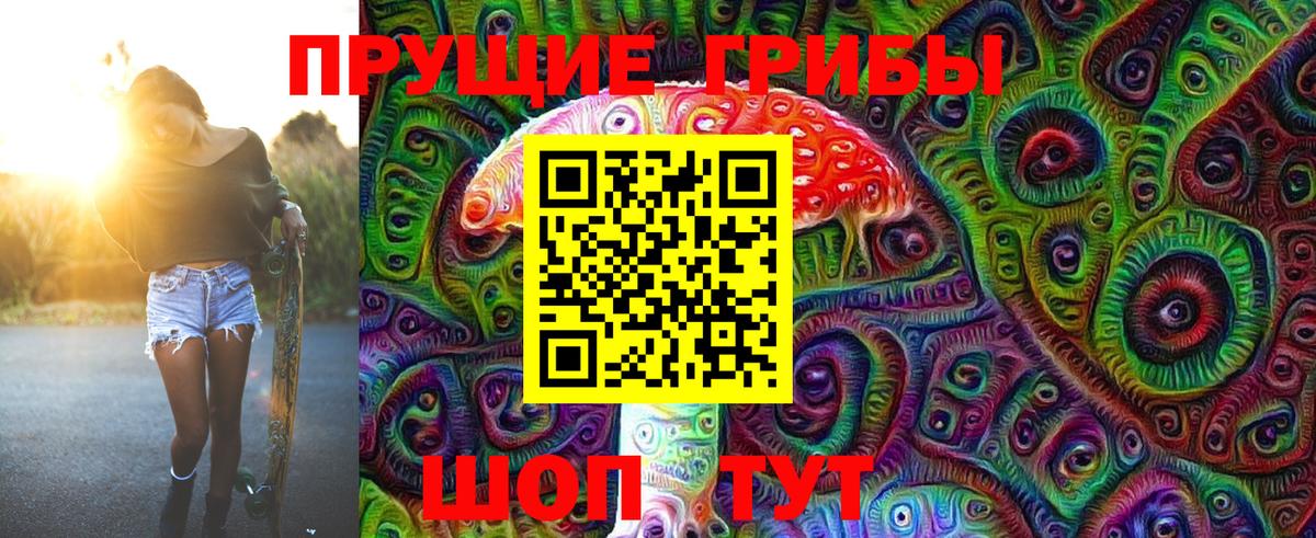 Майкоп  Галлюциногенные грибы GOLDEN TEACHER  Вход с VPN  Псилоцибиновые грибы MAGIC MUSHROOMS 